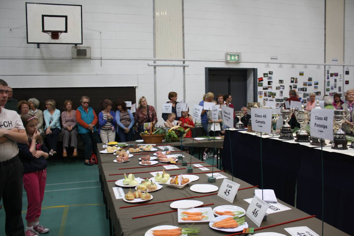 ../Images/Horticultural Show in Bunclody 2014--103.jpg
